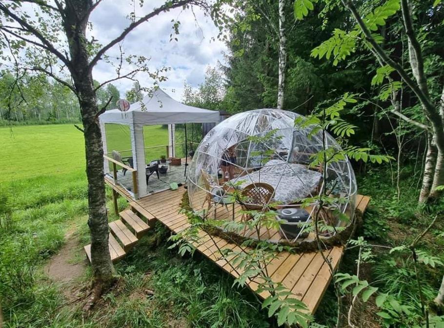 Kaerrbaecks Bubbla Tarnsjo Bagian luar foto